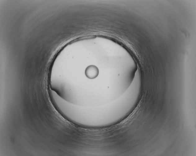 X0000113111500200909251041