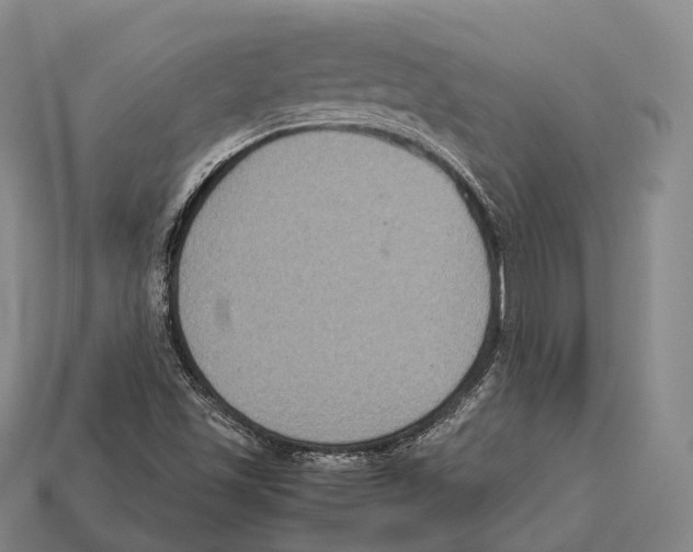 X0000113111501200909251041