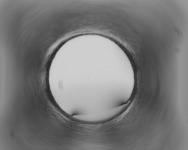 X0000113111502200909251041