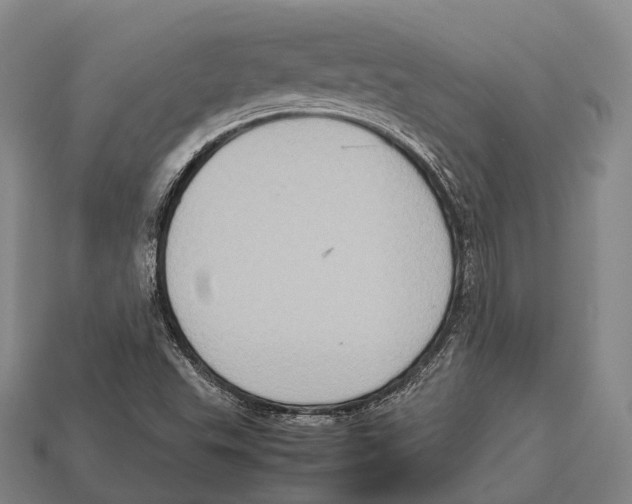 X0000113111503200909251041