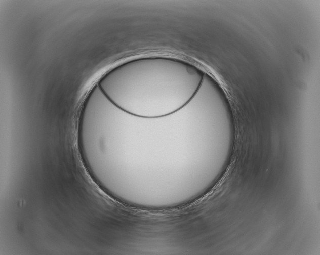 X0000113111504200909251041