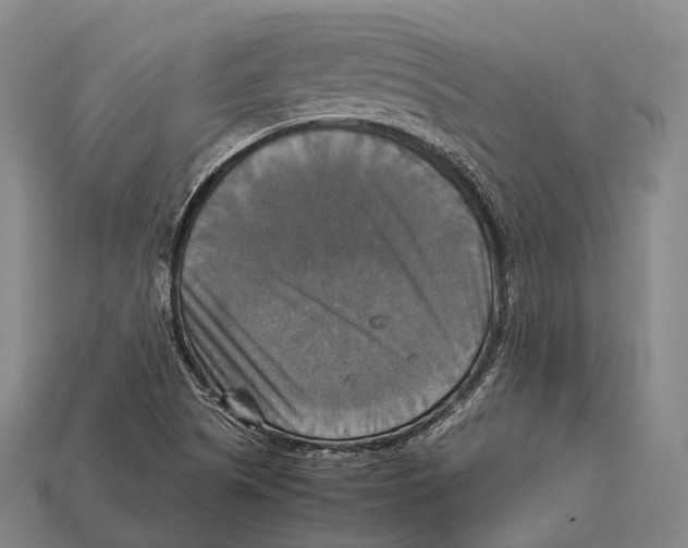 X0000113111505200909251041