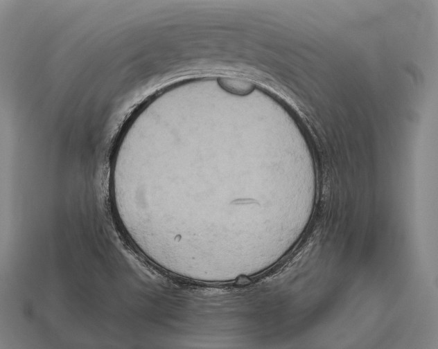 X0000113111507200909251041