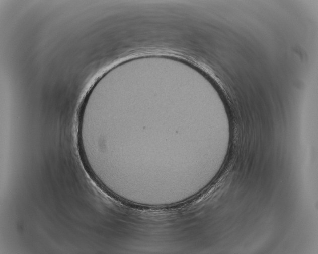 X0000113111508200909251041