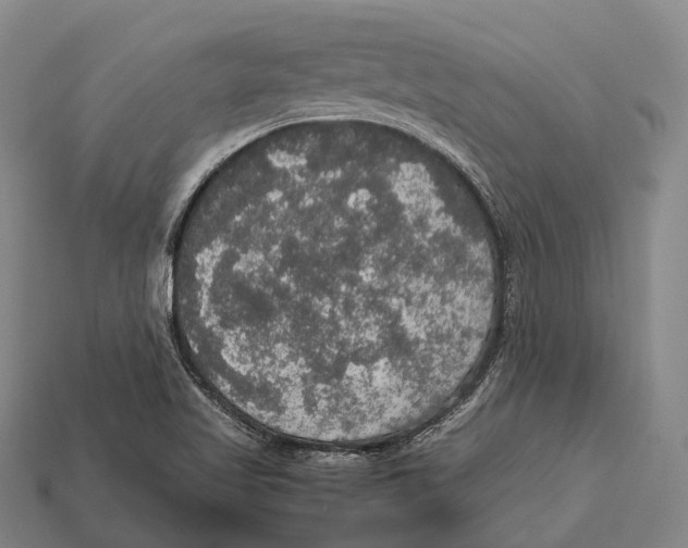 X0000113111509200909251041