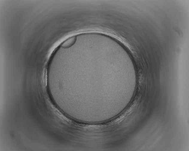 X0000113111510200909251041