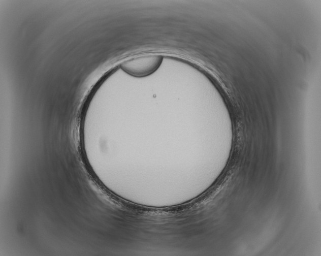 X0000113111511200909251041