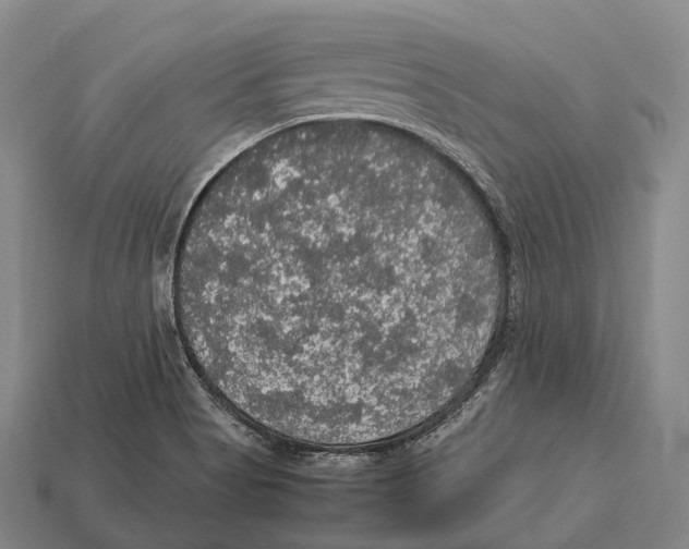 X0000113111513200909251041