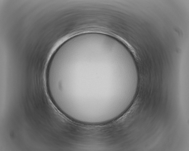 X0000113111514200909251041