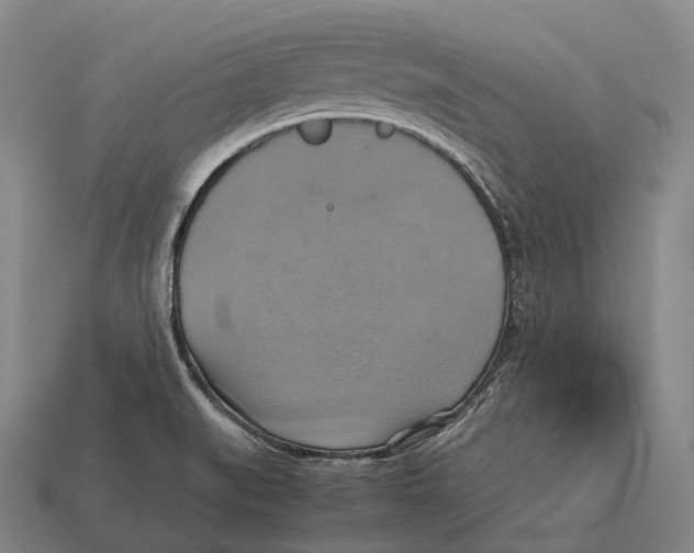 X0000113111519200909251041