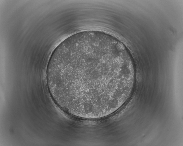 X0000113111521200909251041