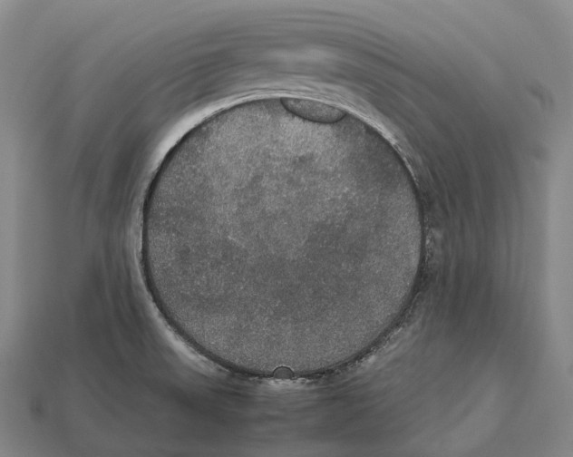 X0000113111523200909251041
