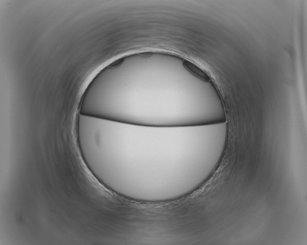 X0000113111524200909251041