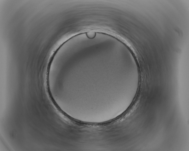 X0000113111525200909251041