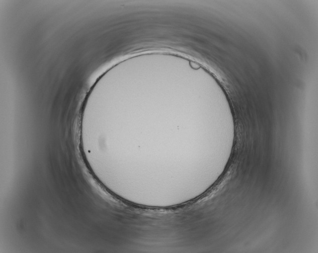 X0000113111526200909251041