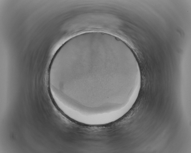 X0000113111527200909251041
