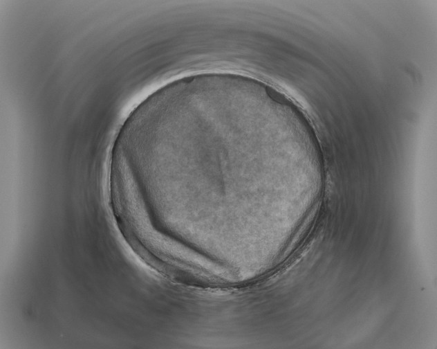X0000113111528200909251041