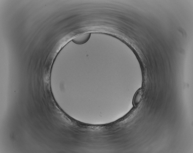 X0000113111529200909251041