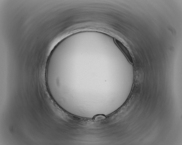 X0000113111530200909251041