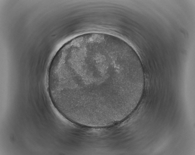X0000113111531200909251041
