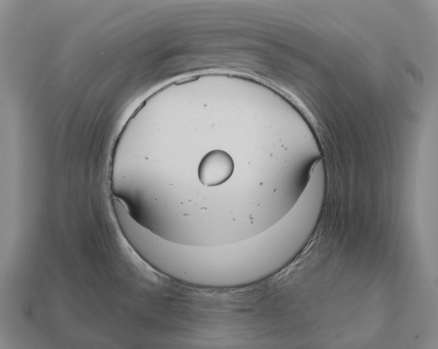 X0000113111532200909251041