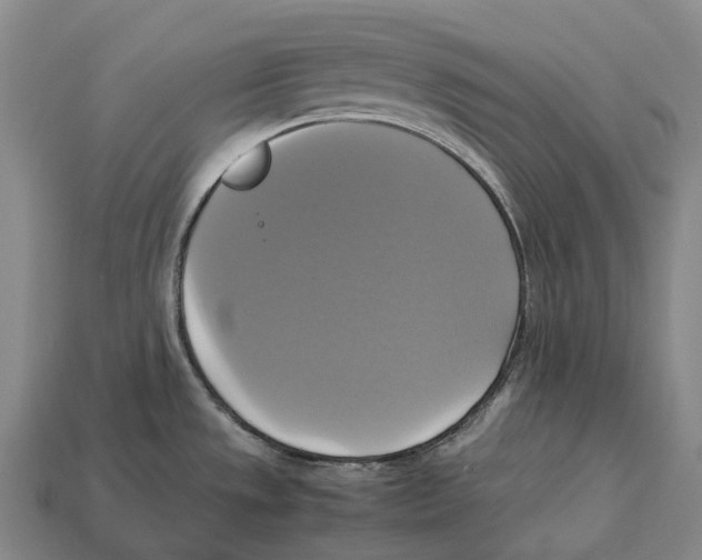 X0000113111533200909251041