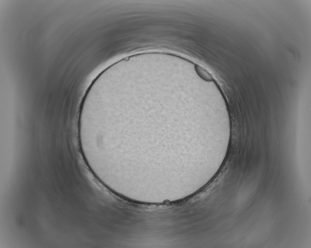 X0000113111534200909251041