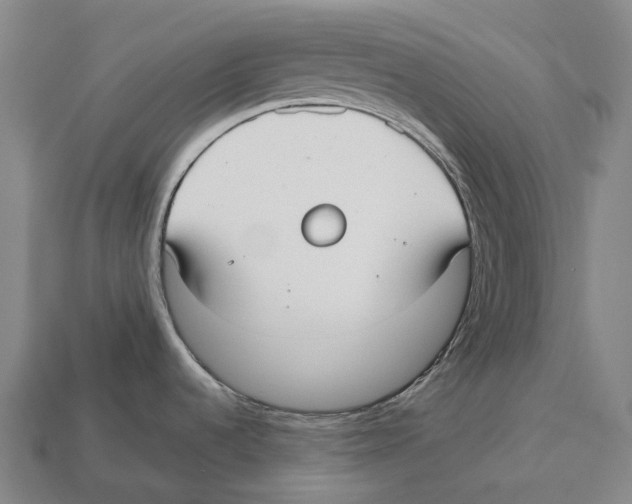 X0000113111536200909251041