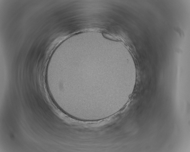 X0000113110001200910091209