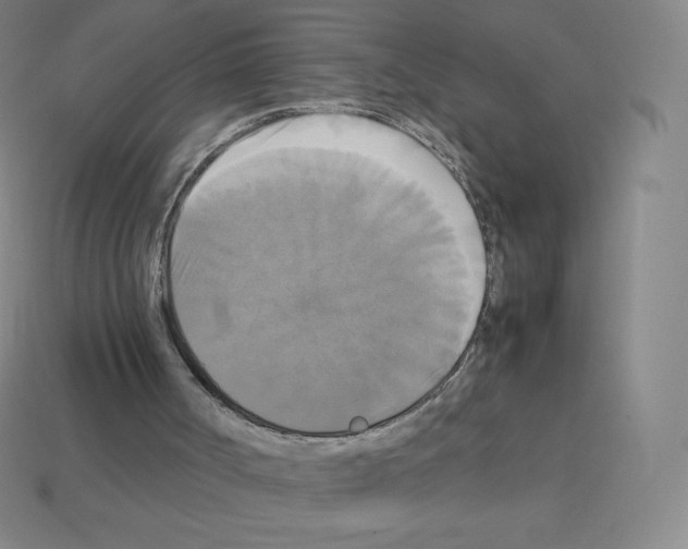 X0000113110002200910091209
