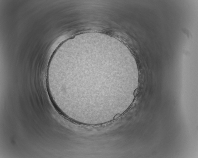 X0000113110003200910091209