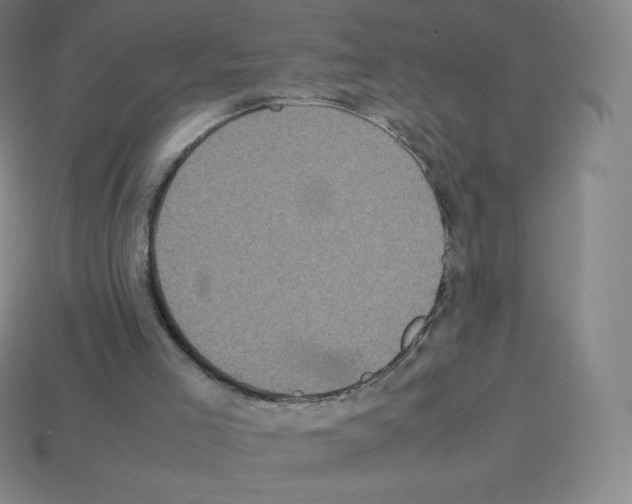 X0000113110005200910091208