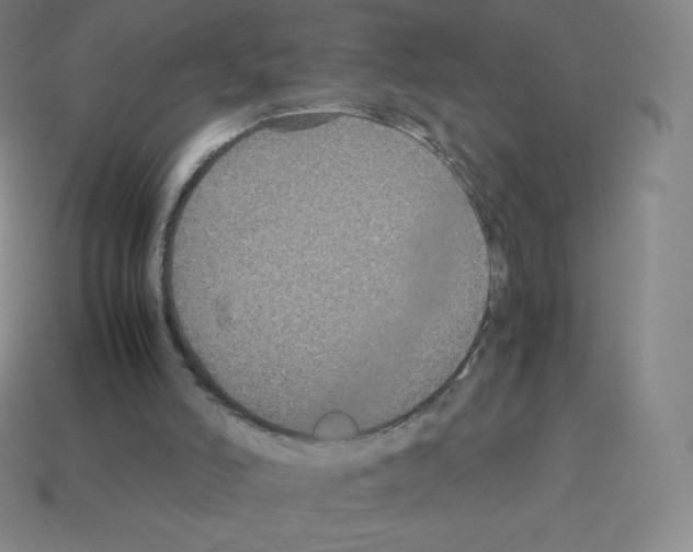 X0000113110006200910091208
