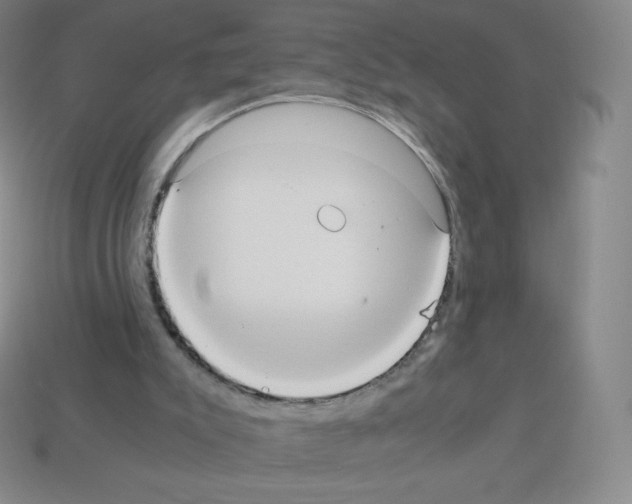 X0000113110007200910091208