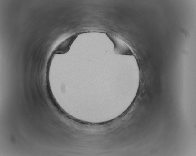 X0000113110008200910091208