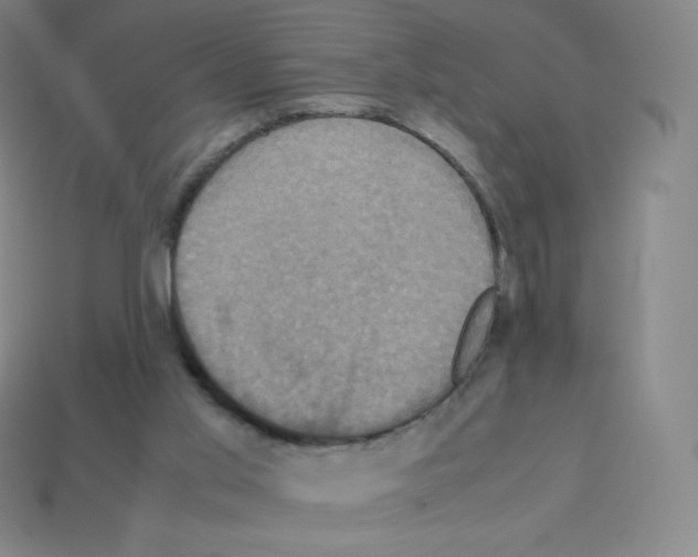 X0000113110013200910091208