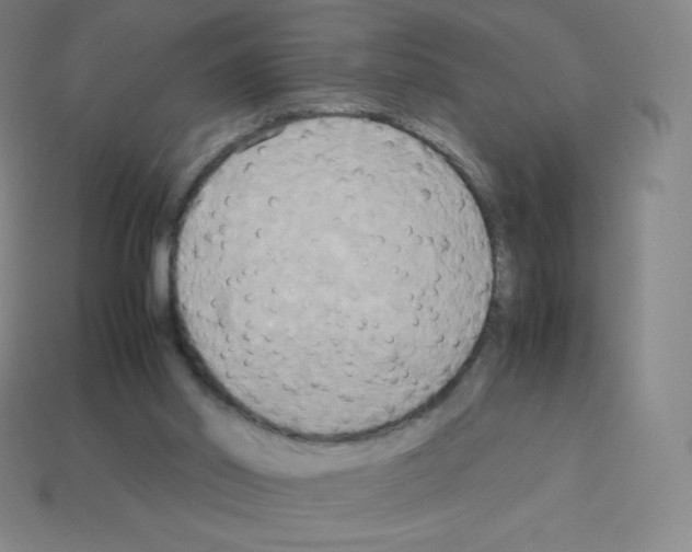 X0000113110014200910091208