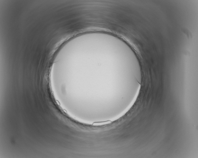 X0000113110015200910091208
