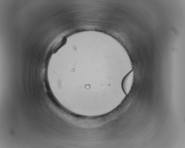 X0000113110016200910091208