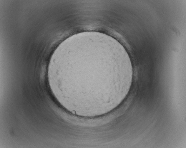 X0000113110018200910091208