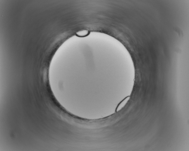 X0000113110019200910091208