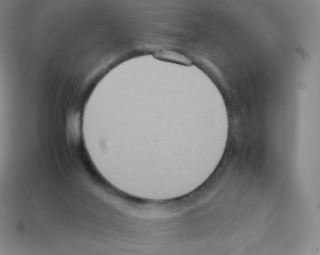 X0000113110020200910091208