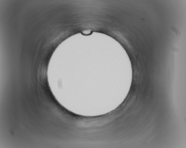 X0000113110021200910091208