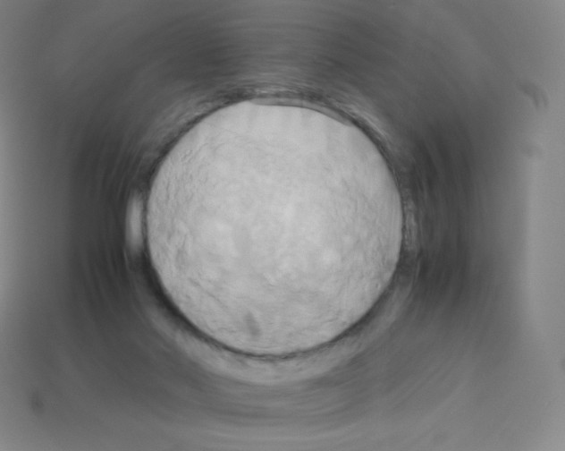 X0000113110022200910091208