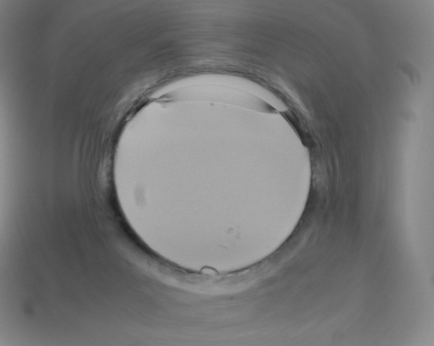 X0000113110023200910091208