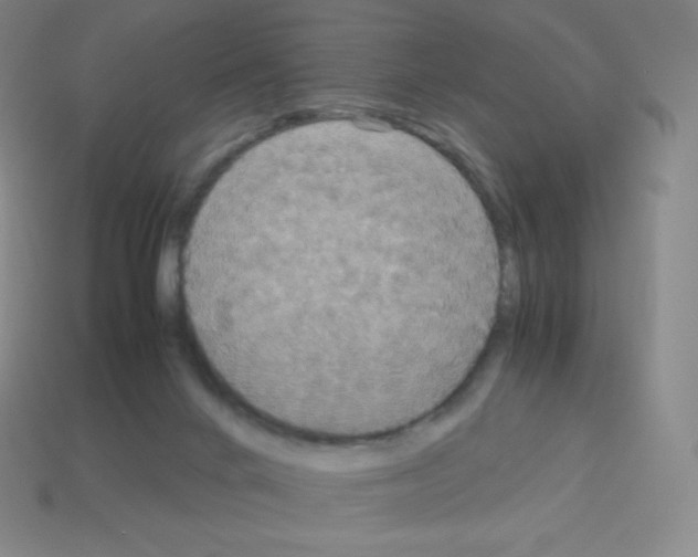 X0000113110024200910091208