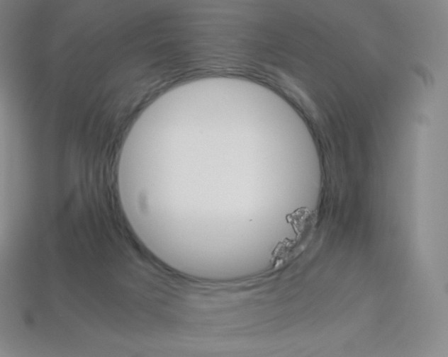 X0000113110025200910091208