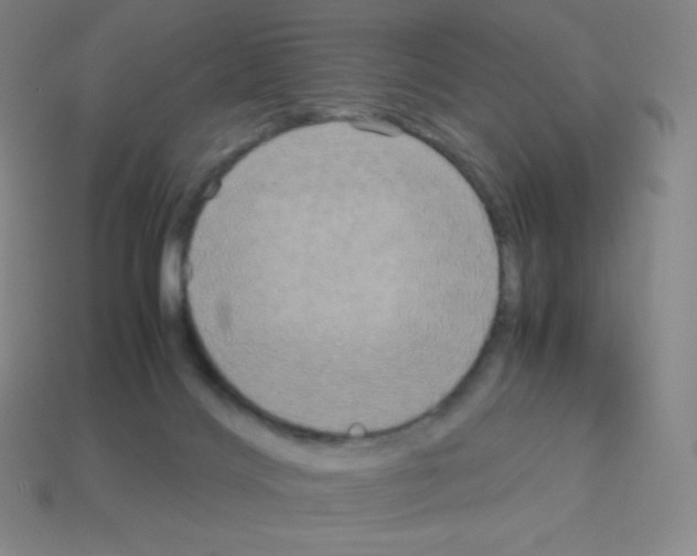 X0000113110028200910091208