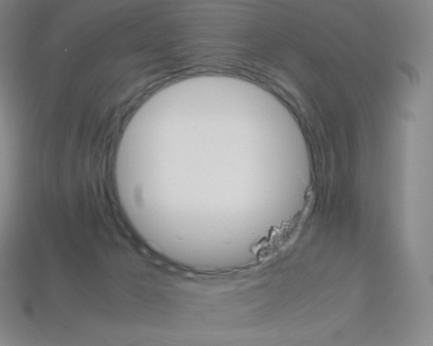 X0000113110029200910091208