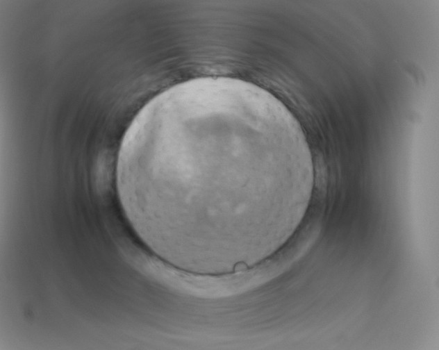 X0000113110030200910091208